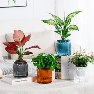 Transparent Double Layer Plastic Flower Pot